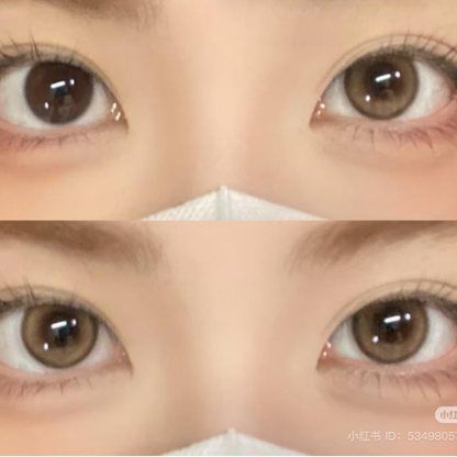 【CHESTNUT BROWN】Monthly Color Con 2pcs