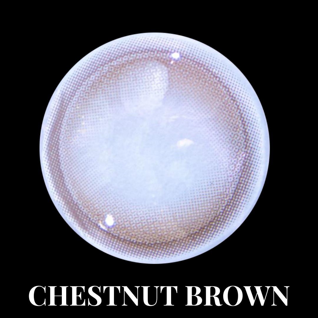 【CHESTNUT BROWN】Monthly Color Con 2pcs