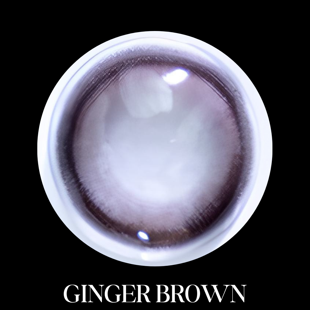 【GINGER BROWN】Monthly Color Con 2pcs